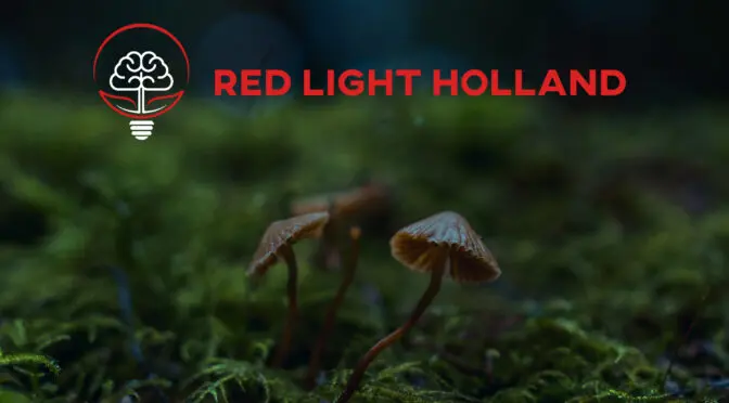 Red Light Holland gaat samenwerken met paddenstoel producenten