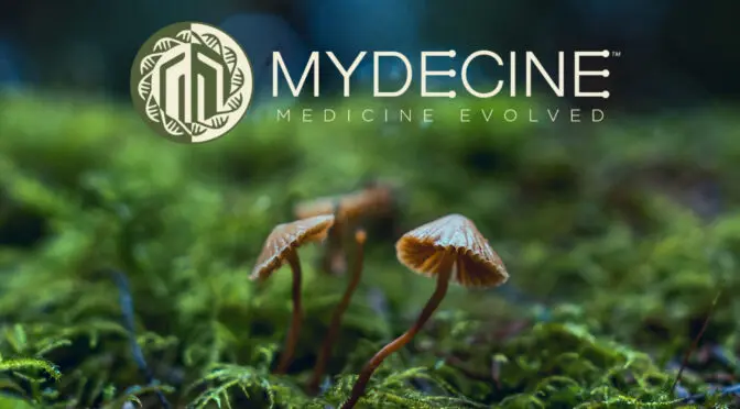 Mydecine ontdekt 40+ potentieel baanbrekende nieuwe verbindingen in paddenstoelen