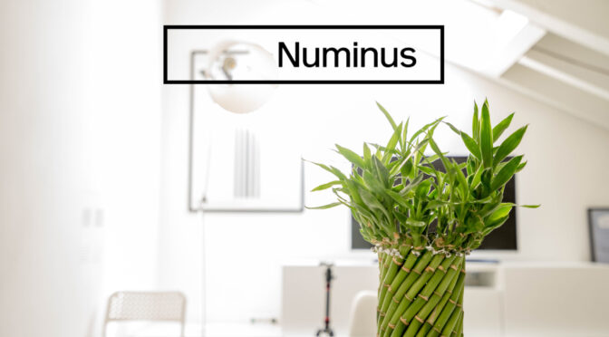 Numinus Wellness verwerft Neurology Centre of Toronto